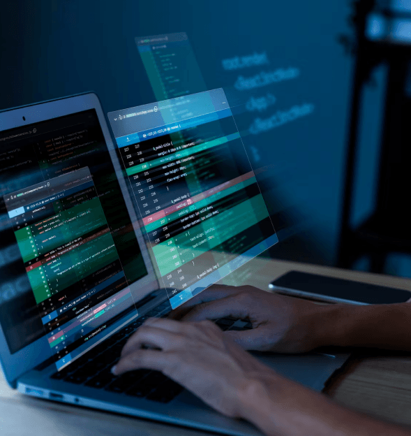 Web Design & Development